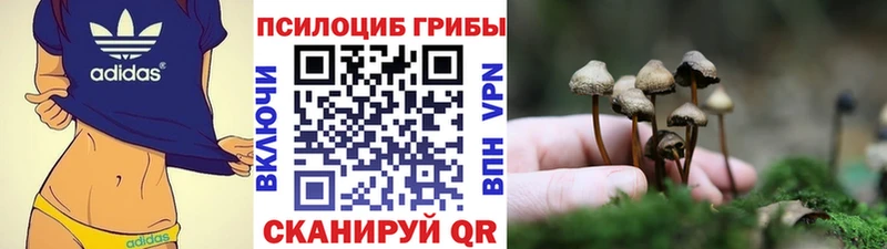 Галлюциногенные грибы Cubensis купить наркоту Рязань
